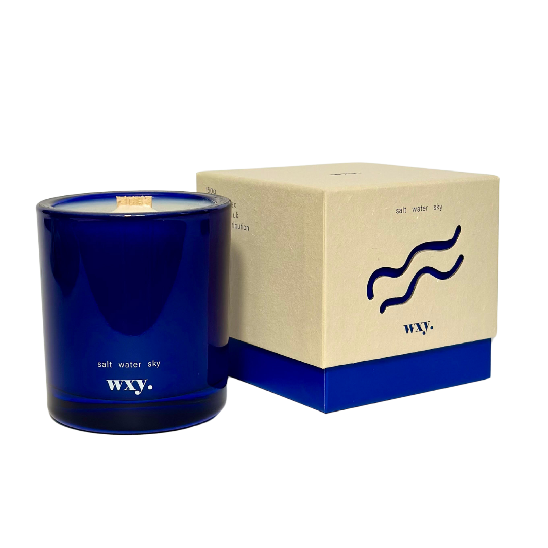 Roam mini. - 5.2oz candle - salt. water. sky.