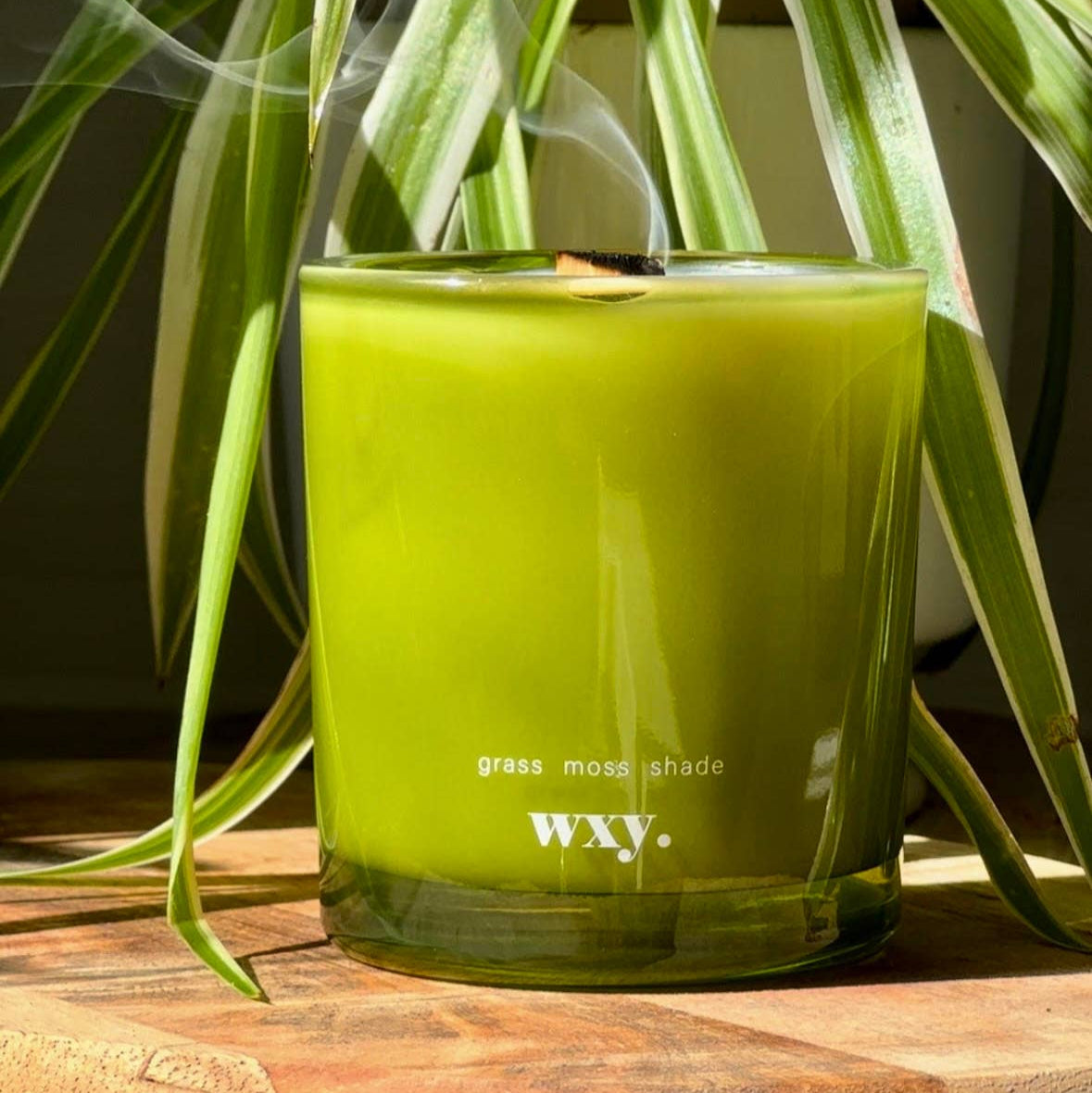 Roam mini. - 5.2oz candle - grass. moss. shade.