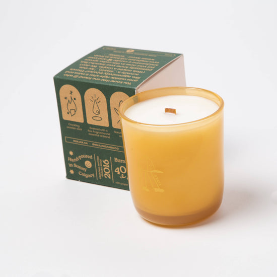 Cedar & Cassis Candle