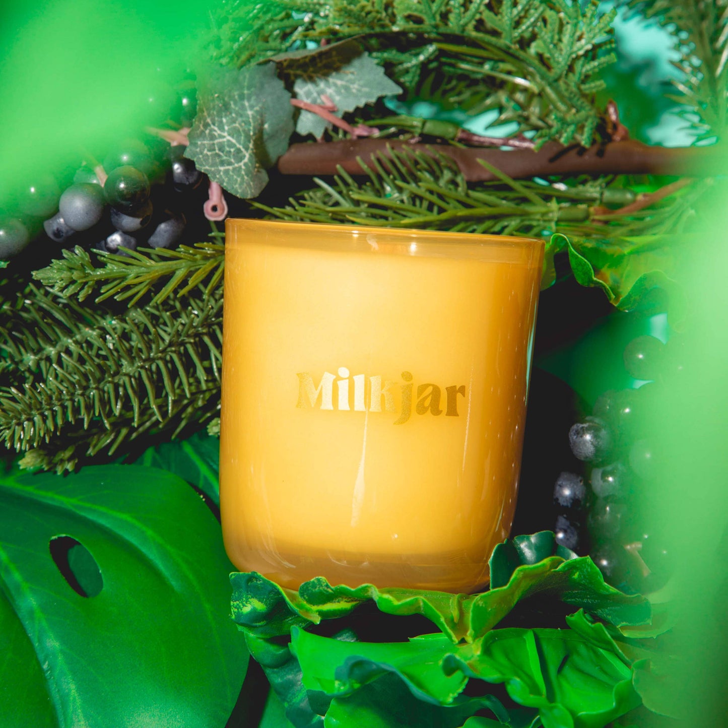 Cedar & Cassis Candle